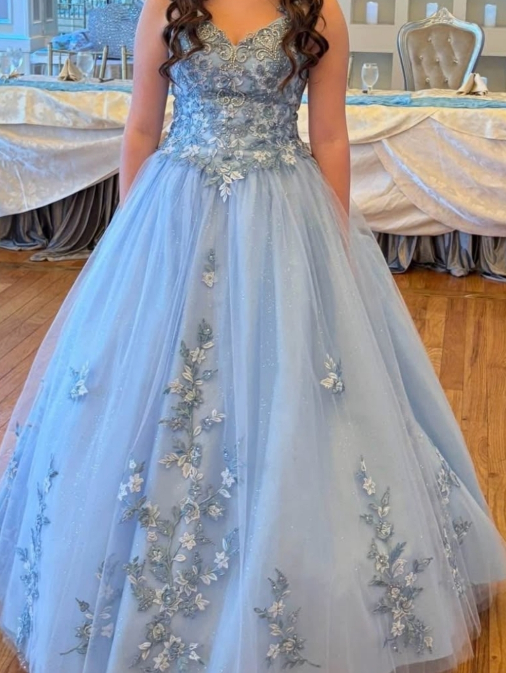 Dancing Queen Ice Blue Embroidered Tulle Ball Gown